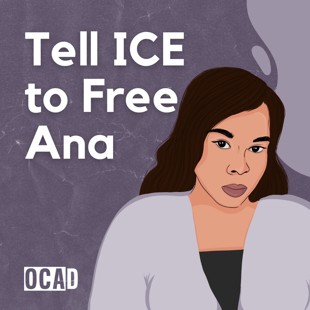 tell ice to release ana navarro tw mention of child abuse domestic